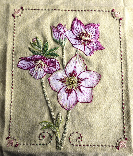 Hellebore Embroidery